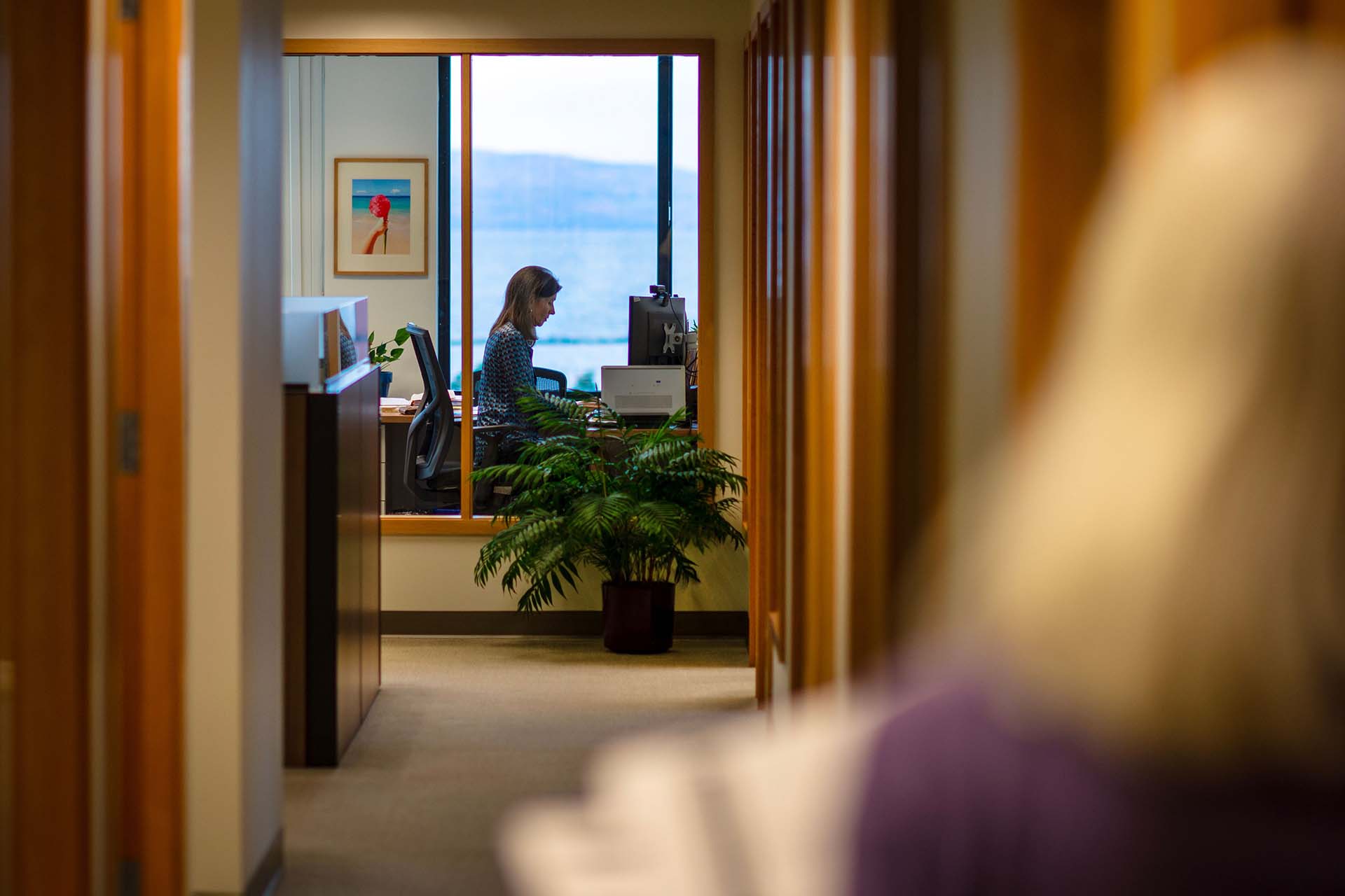 attorney sitting at desk working on a computer